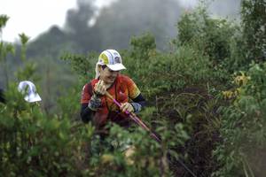 BIB: 
                            <button type="button" onclick="openModal(24759928)" class="btn btn-primary btn-sm float-right btn-popup" data-toggle="modal" data-target=".modal-high-quality">
                        <i class="fas fa-shopping-cart"></i> Add to Cart
                    </button>
                                            <button type="button" onclick="isThisMe(24759928, true)" class="btn btn-success btn-sm float-right btn-popup btn-isme hidden" data-toggle="tooltip" data-placement="bottom" title="นี่คือรูปของคุณใช่ไหม คลิกที่นี่เพื่อเอาเข้าอัลบั้ม">
                        <i class="fas fa-plus"></i> Add to album
                    </button>
                    <button type="button" onclick="isThisMe(24759928, false)" class="btn btn-warning btn-sm float-right btn-popup btn-isnotme hidden">
                        <i class="fas fa-ban"></i> Remove from album
                    </button>